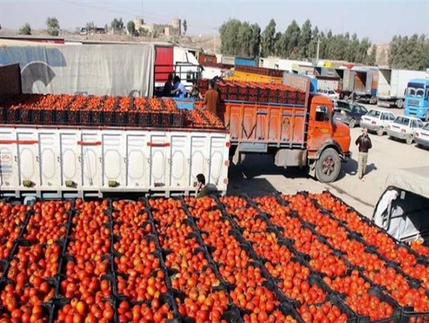 سنگینی هزینه بالای حمل و نقل میوه بر جیب مردم/ دلیل اصلی ناآرامی بازار میوه و تره بار چیست؟