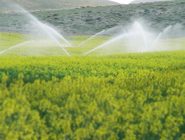 2 طرح آبیاری با اعتباری بالغ بر 200 میلیون ریال در سنقروکلیایی به تصویب رسید