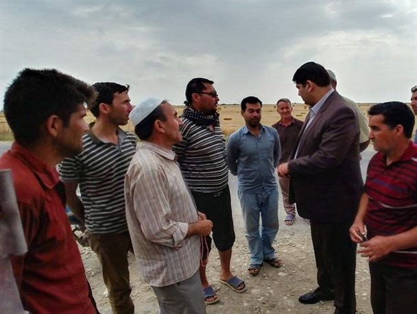 ۴۲ هزار تن گندم از سطح زمین های کشاورزی گمیشان برداشت می شود