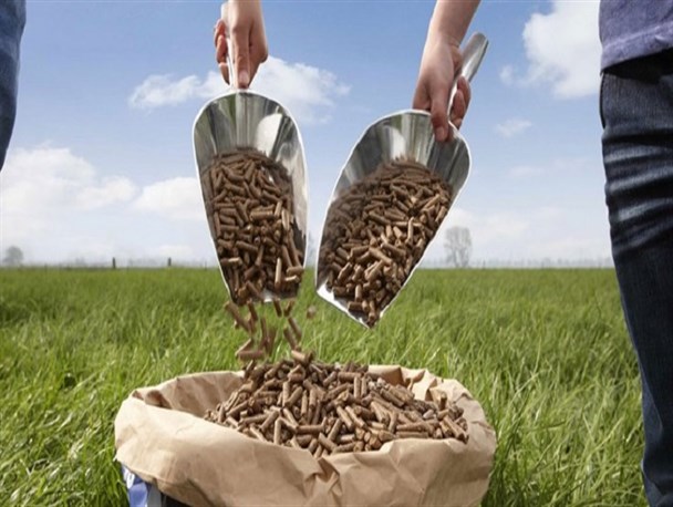 قرائت گزارش کمیسیون اصل ۹۰ در مورد محصولات تراریخته/ در ۱۶۸ کشور جهان هیچ محصول تراریخته‌ای کشت نمی‌شود