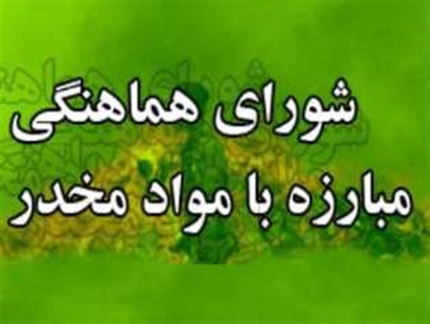 عزمی که در شورا مبارزه با مواد مخدر باغملک جزم نیست/ از عدم حضور حداکثری مسئولان گرفته تا تکرار مکررات