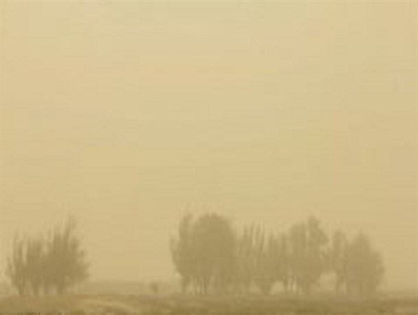 ایجاد «کمربند سبز» برای جلوگیری از ریزگرد در اردستان ضروری است