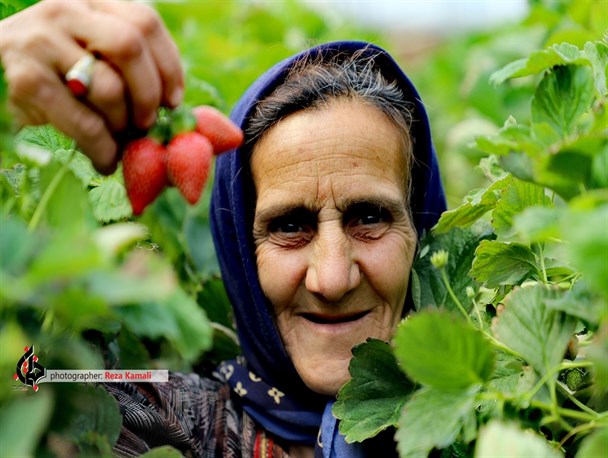 نقاشی خدا در دل باغات چهارمحال و بختیاری