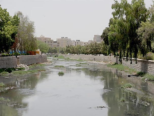 تاثیر منفی روان‌آب‌های فاضلابی بر زیست‌بوم‌‎‎های دریایی خلیج فارس+ فیلم