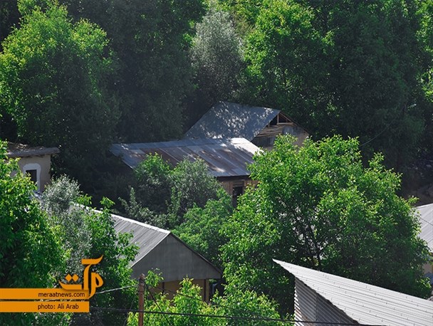کوچه باغ‌های روستای شلی