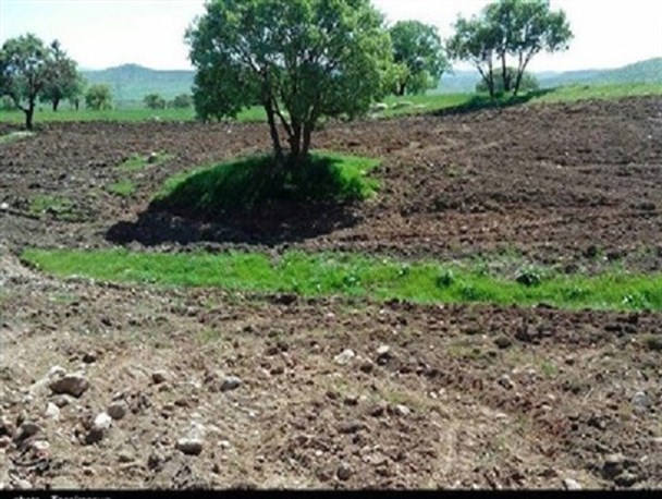 دولت دوازدهم چگونه تیشه به ریشه منابع طبیعی زد؟/ هدف ابلاغ دقیقه نودی قانون بهره‌وری کشاورزی چه بود؟