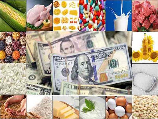ارز چندنرخی رونق اشتغال و تولید را از بین برد/ تفاوت قیمت‌ها باعث قاچاق کالاهای اساسی شد