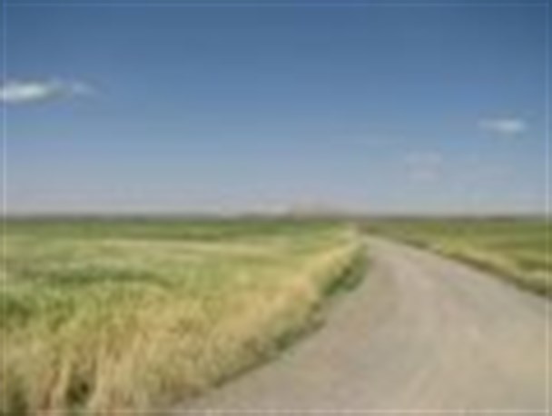 بهبود ۱۰ درصدی عملکرد جو کاران ساوه ای