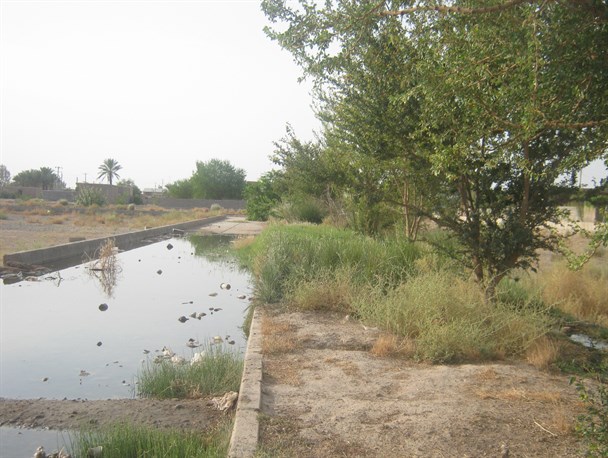فضای سبز نخواستیم بابا جلو هدر رفت آب را بگیرید؟