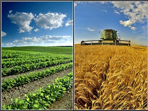 مولفه‌های مهم در توسعه روستایی و جمعیت، توسعه اقتصادی است