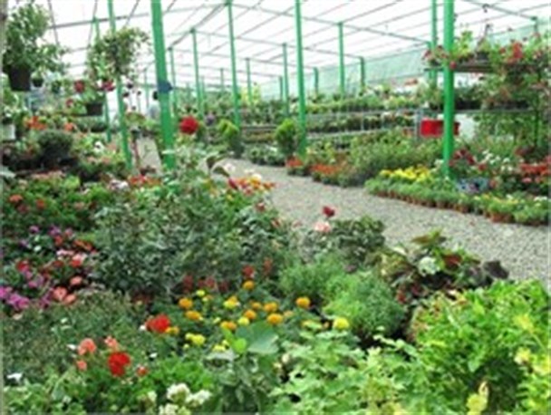فروشگاه و نمایشگاه دائمی گل و گیاه آماده خدمات‌رسانی به شهروندان است