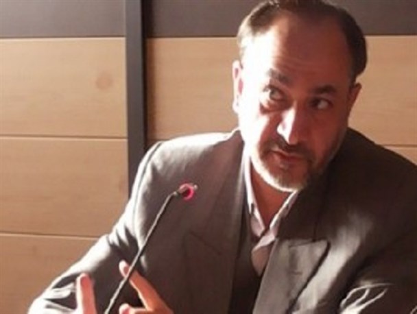 دستگاه سیاست خارجی باید از طریق برگزاری نشست فوق‌العاده پیگیر اسارت شیخ زکزاکی می شد