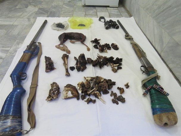 شکارچی غیرمجاز گونه های حفاظت شده محیط زیست بردسکن دستگیر شد