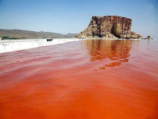 عامل سرخی دریاچه ارومیه هیچ عارضه پوستی برای جوامع بشری ندارد