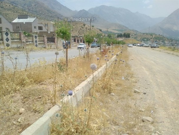 بلوار های بی روح شهر توریستی سی سخت در احاطه خار و خاشاک/بخش فضای سبز شهرداری سیسخت تعطیل است؟+تصاویر