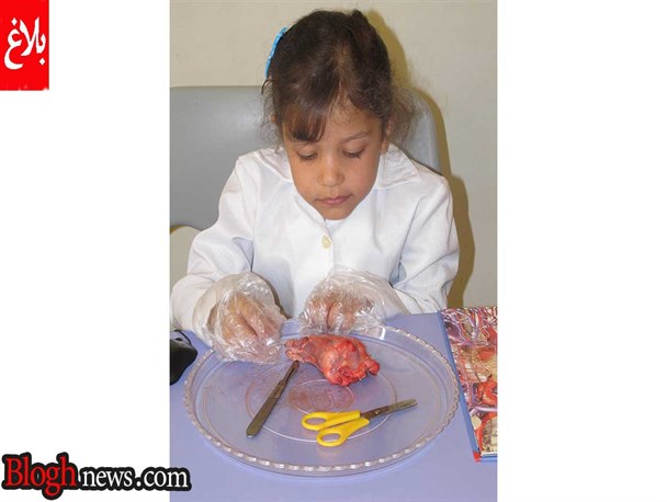 کودک پنج ساله مازندرانی؛ کوچک‌ترین جراح قلب ایرانی + تصاویر