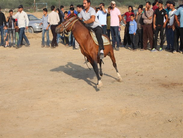 مسابقات اسب سواری در تفرجگاه شهر محمود آباد به اتمام رسید+تصاویر
