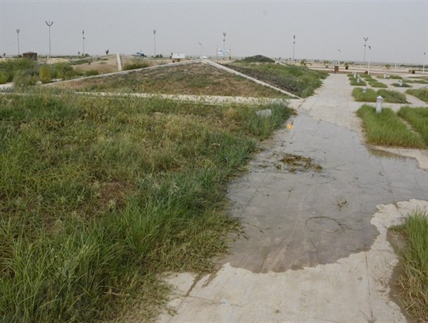 رویش علف های هرز در باغ گلهای دهکده گردشگری بوشهر و پاسخ جالب استاندار!+عکس