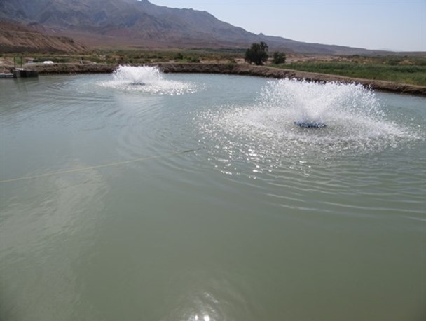 افتتاح ۱۲ طرح خودکفایی و اشتغالزایی برای مددجویان در ماهنشان+تصاویر