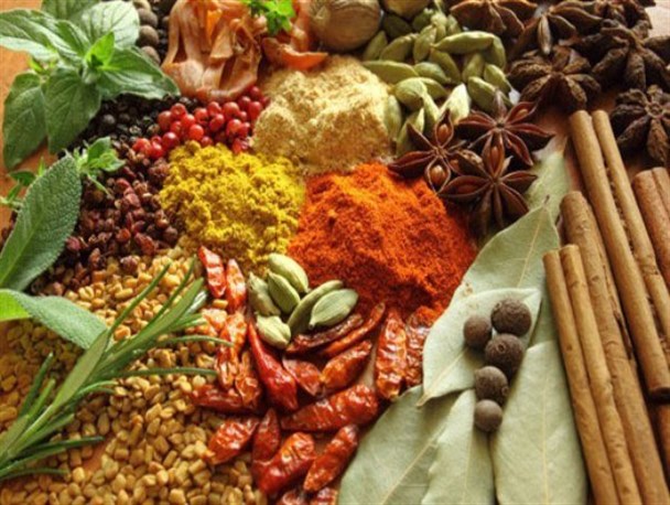 ارتقاء صنعت گیاهان دارویی خودکفایی را در زمان تحریم به دنبال دارد/ افزایش کیفیت و کاهش قیمت عناصر رقابت هستند