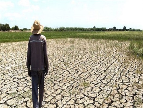 خشکسالی، ۱۱ هزار میلیارد تومان به کشاورزی لرستان خسارت زد
