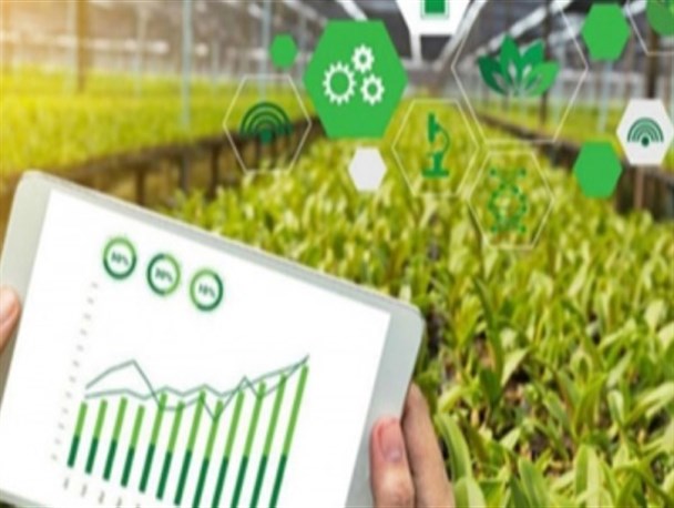 حمایت پارک علم و فناوری از ۳۰۱ واحد فناور در کرمانشاه/ بیش از ۱۰۰ مشاور و عضو هیئت علمی دانشگاه مشغول فعالیت هستند