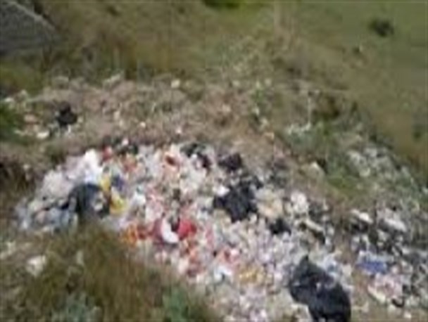 فاجعه زیست محیطی در نزدیکی جنگل فندقلو