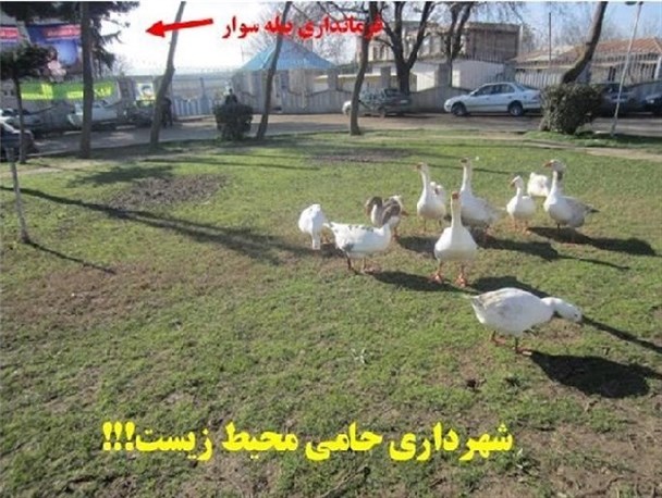 بدون شرح...