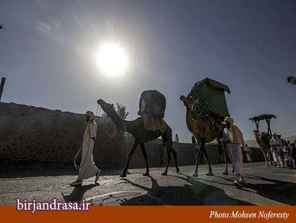 کاروان نینوای بیرجند+تصاویر