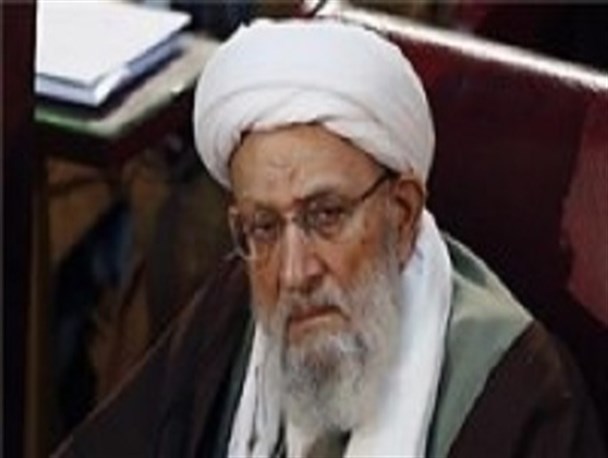 آیت الله مهدوی کنی وزن وزین خود را سخاوتمندانه وقف انقلاب کردند