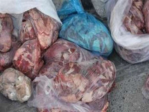 کشف یک هزار و ۲۰۰ کیلوگرم گوشت فاسد در کردکوی