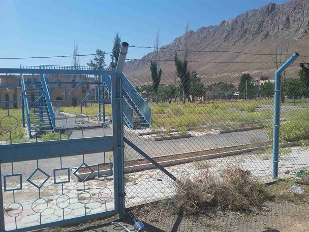 پرورش خار به جای پرورش کودکان در پارک ترافیکی شهر بن
