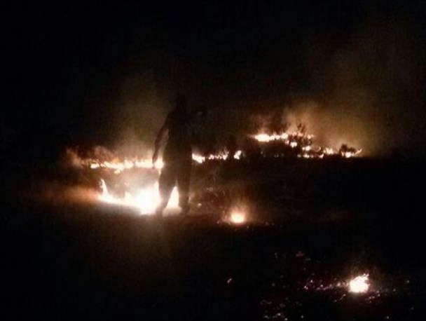 جنگل و مراتع منطقه "پیکوله" طعمه حریق شد + تصاویر