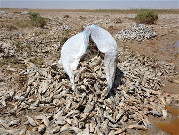 بیکاری و مهاجرت از سیستان؛ ارمغان اتمام بند کمال خان در افغانستان/ دیپلماسی نافرجام آب در جنوب شرق کشور