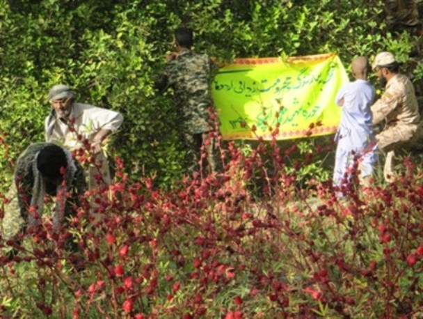 اردوی جهادی ۷ روزه در بخش اسپکه نیکشهر برگزار شد +تصاویر