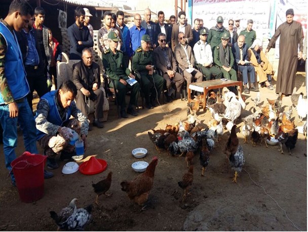 اجرای طرح واکسیناسیون طیور در 31 روستای شهرستان کارون +تصاویر