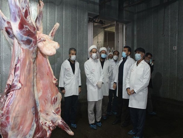 ارتقاء سطح بهداشت عمومی جامعه نتیجه ی کاهش کشتار‌های غیر مجاز/باید مانع قاچاق و خروج دام از کشور شد