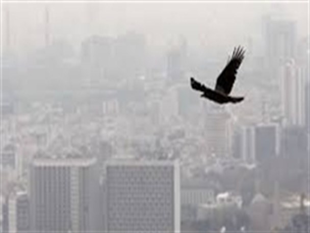 دعوت هنرمندان از مردم برای اختصاص یارانه خود به محیط زیست+اسامی هنرمندان