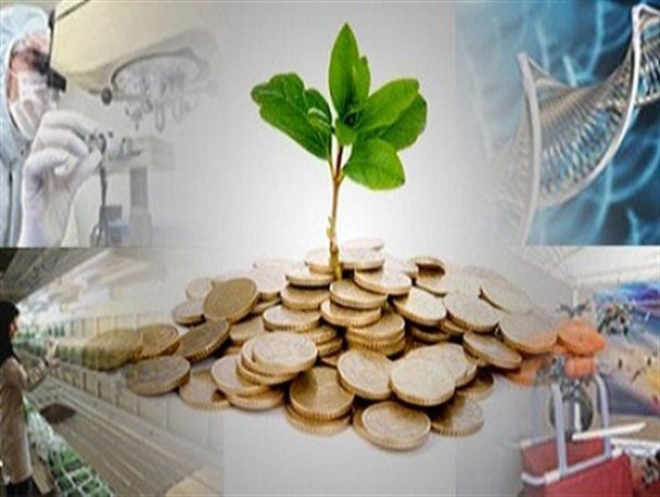 تخصیص اعتبار برای ایجاد شرکت‌های دانش بنیان در دانشگاه آزاد