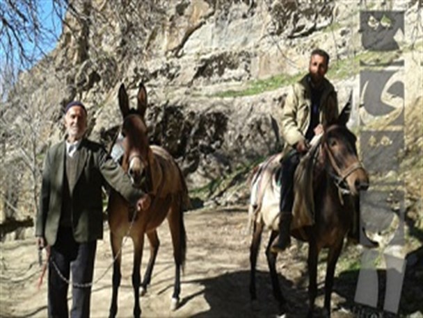 رونق گردشگری در روستایی که هنوز در آن با اِستَر تردد میشود
