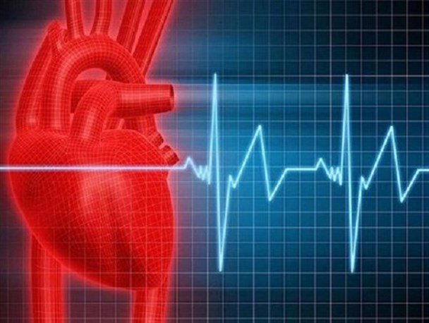 40 درصد مرگ و میرهای خراسان شمالی ناشی از بیماری های قلبی و عروقی است