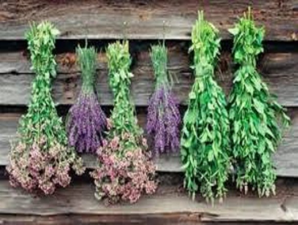 این گیاهان دارویی را همیشه در خانه داشته باشید