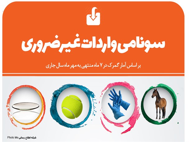 اینفوگرافیک/سونامی واردات غیرضروری