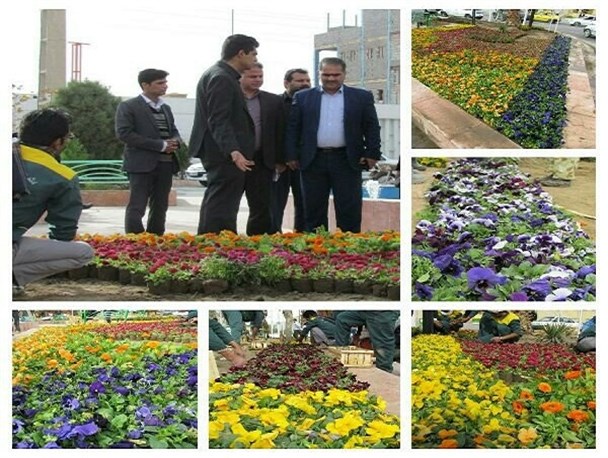 کاشت انواع گل در میادین زابل/ مردم از انتقال گل ها به منازل خودداری کنند