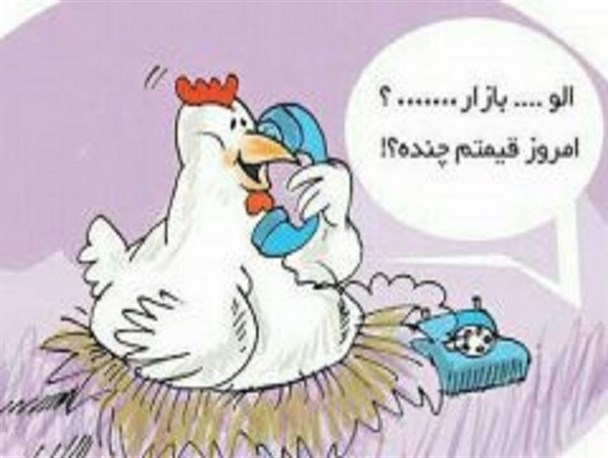 شعر طنز بانوی شاعر برخواری در وصف گرانی تخم مرغ