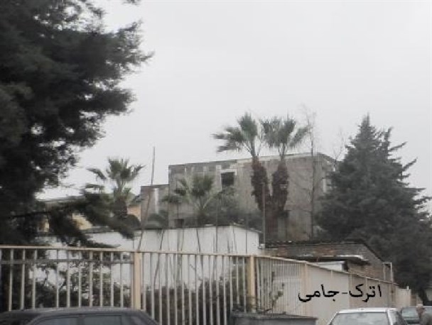 وجود نخل دو سر در گرگان + تصویر