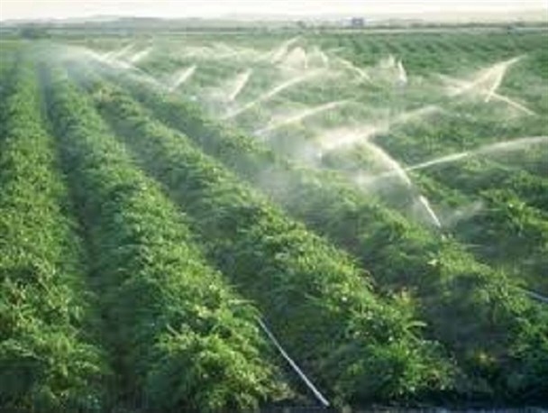 شناسایی ۱۰۹ هکتار اراضی طبس برای اجرای آبیاری نوین/ عملیات انتقال آب کشاورزی با لوله در طبس اجرا می شود