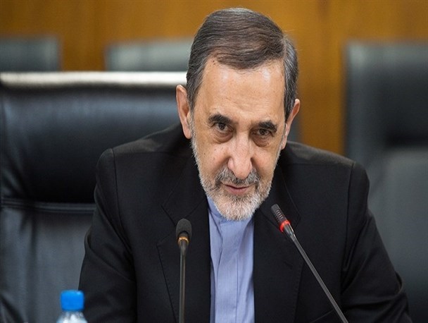 ولایتی: دانشگاه آزاد نه خصوصی است و نه دولتی