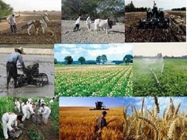 تولید چهار برابری مازاد بر نیاز محصولات کشاورزی در استان/پیشرفت‌های پزشکی یکی از افتخارات بزرگ نظام است