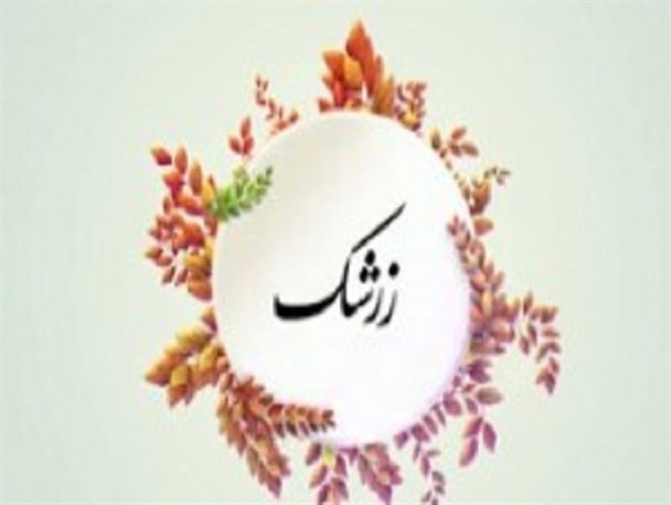 دلخوری مردم از نحوه رفتار فرماندار قاین/ نحوه برخورد نوبخت در خصوص راه‌آهن خراسان جنوبی/ فیلم
